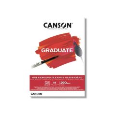 Block Canson 1557 Graduate oleo/acrilico A5 290 gr y 20 hojas