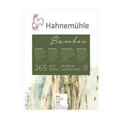Block Hahnemuhle Bamboo 30x40 265g 25 hojas