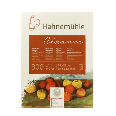 Block Hahnemuhle Cezanne 24x32 300g 10 hojas