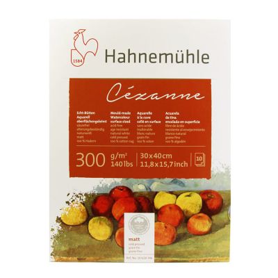 Block Hahnemuhle Cezanne 30x40 300g 10 hojas