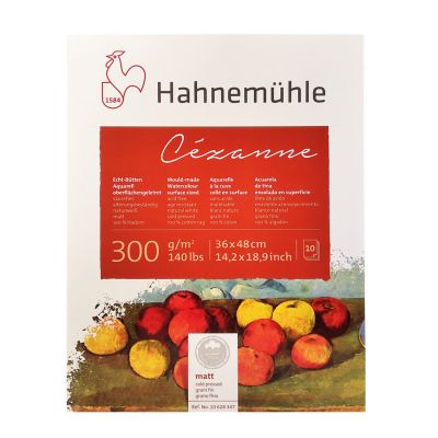 Block Hahnemuhle Cezanne 36x48 300g 10 hojas