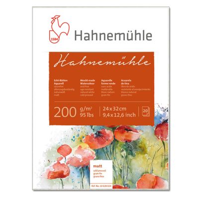Block Hahnemuhle 200g (grano fino) tamaño: 24x32 20 hojas