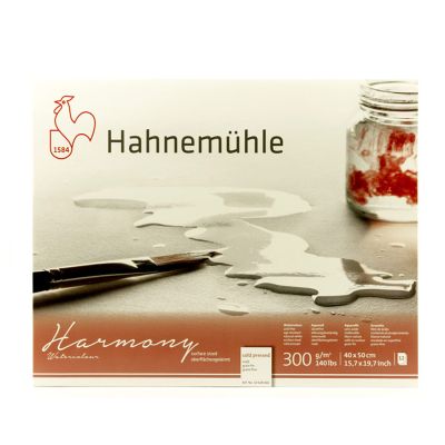 Block Hahnemuhle Harmony 40x50 300g 12 hojas