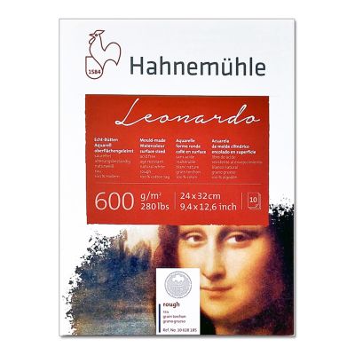 Block Hahnemuhle Leonardo grano grueso 24x32 600g 10 hojas