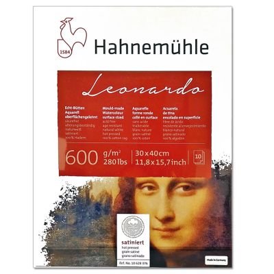 Block Hahnemuhle Leonardo grano satinado 30x40 600g 10 hojas