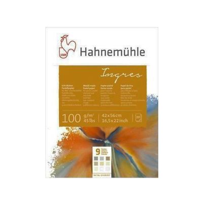 Block Hahnemuhle Ingres 9 colores 42x56 100g 20 hojas